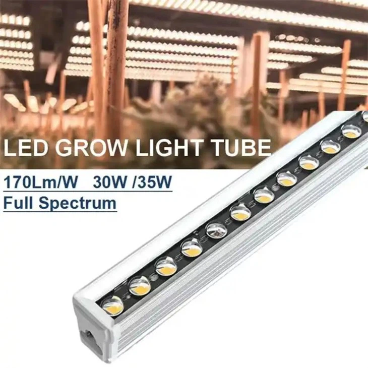 LED Grow Light for Plant Grow 2