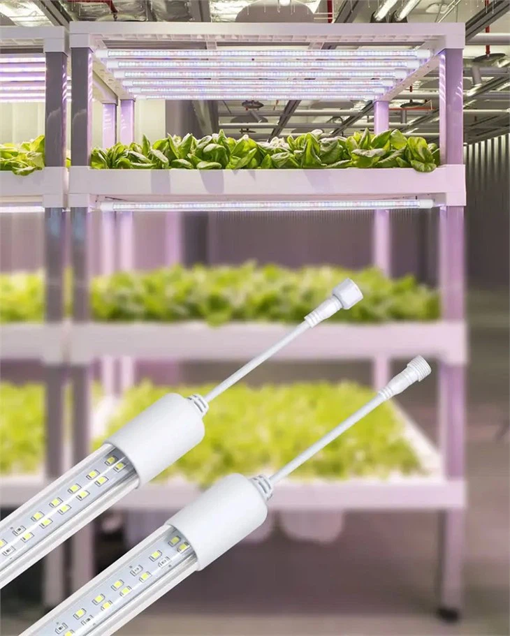 LED T8 4FT Grow Light