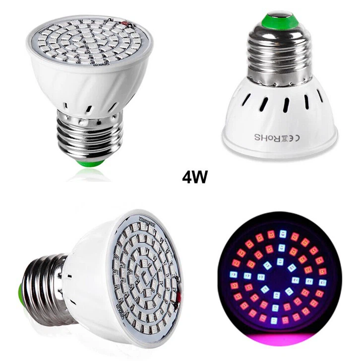 Plant Growth Lamp