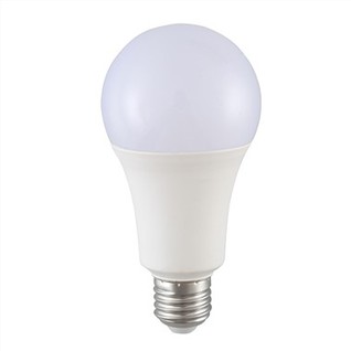 25 Watt Led Bulb
