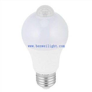Auto Motion Detector Light