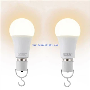 Bulb With Battery Backup