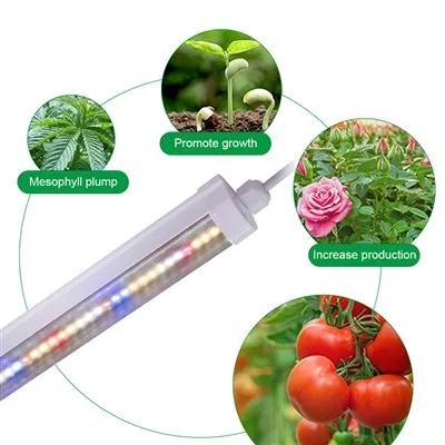 LED Grow Light For Plants IP67