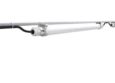 LED Lighting For Laying Hens