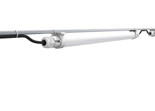 LED Lighting For Laying Hens