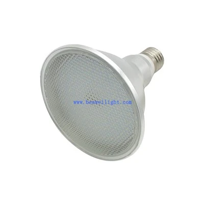 LED Spot Lights PAR30 Bulbs