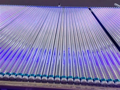 LED Tube UV-365 nm