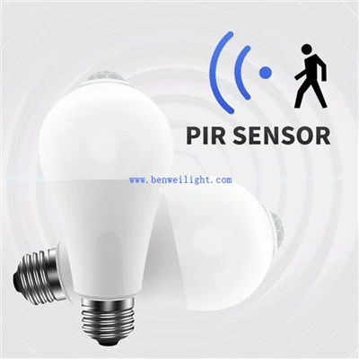 Motion Sensor LED Lights