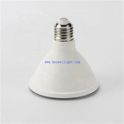 Outdoor Floodlight PAR38
