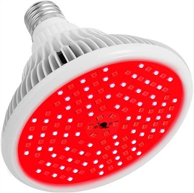 Red Light Therapy Bulbs
