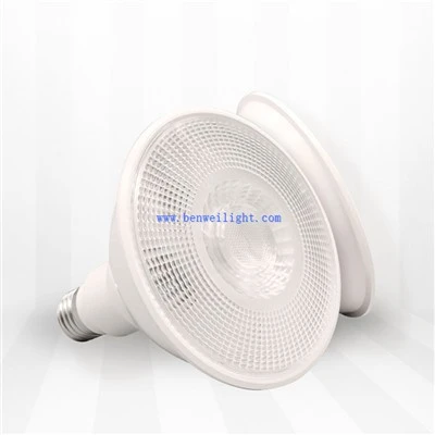 15W Waterproof LED PAR 30 Light