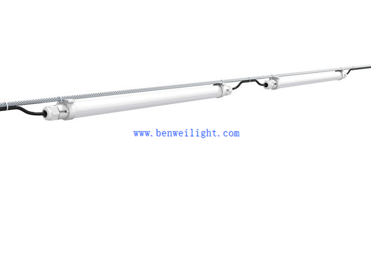 tomato led grow light