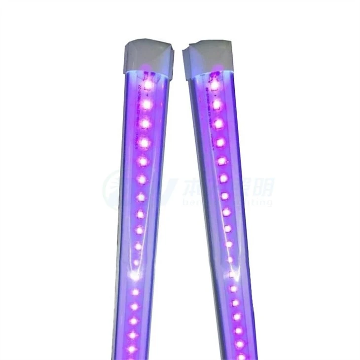 UV-C Light Kill Microbes