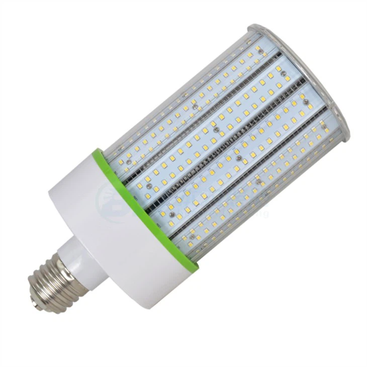 Wide Base Light Bulbs