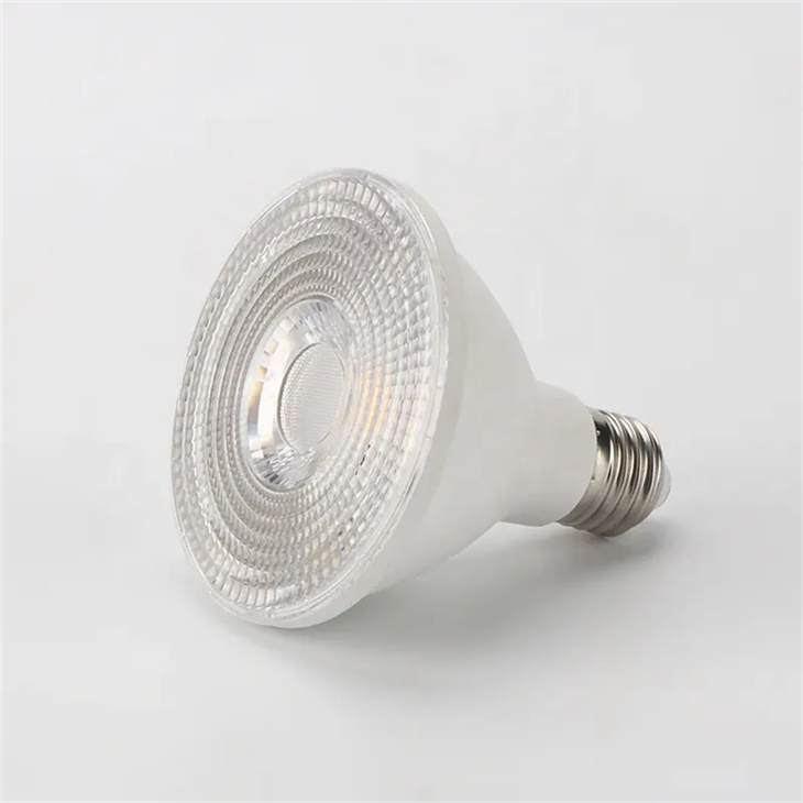 PAR38 LED E27 14W best