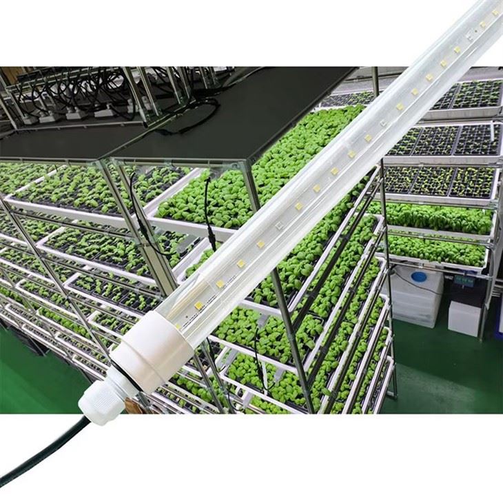 IP65 Waterproof Full Spectrum LED Grow Tube Light T5 T8 Hydroponic Plant Growth Lamp suppliers
