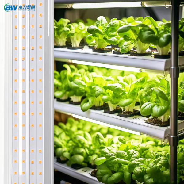 T20 Dimmable Vegetable Led Grow Linear Linkable IP65 Light 20-88W factory