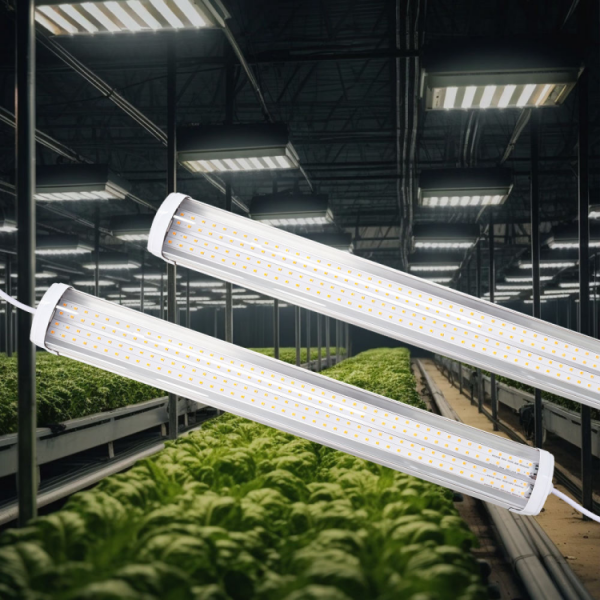 T20 Dimmable Vegetable Led Grow Linear Linkable IP65 Light 20-88W suppliers
