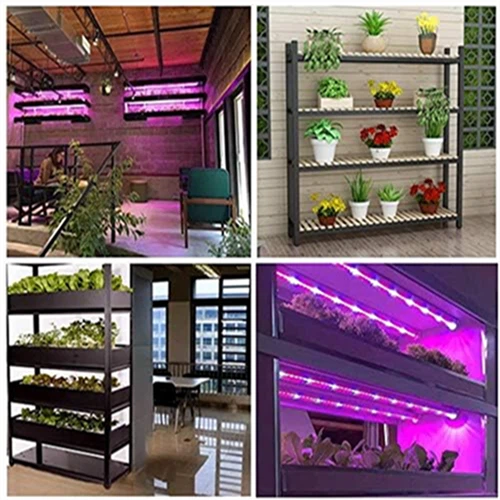 1000 Watt LED Full Spectrum Sunlike Growing Lamp For Indoor Plant With Daisy Chain Function