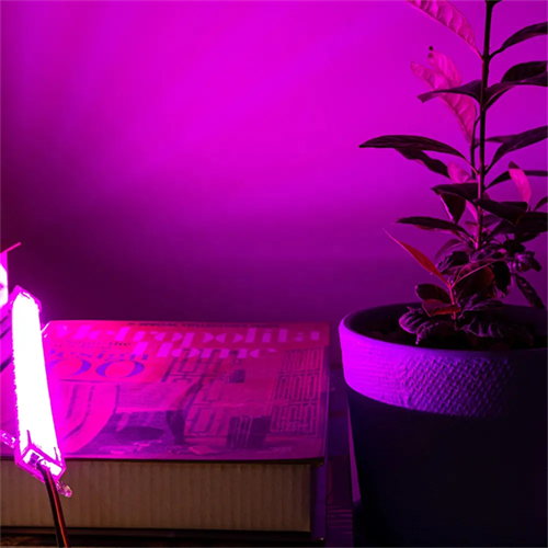 1000 Watt LED Full Spectrum Sunlike Growing Lamp For Indoor Plant With Daisy Chain Function