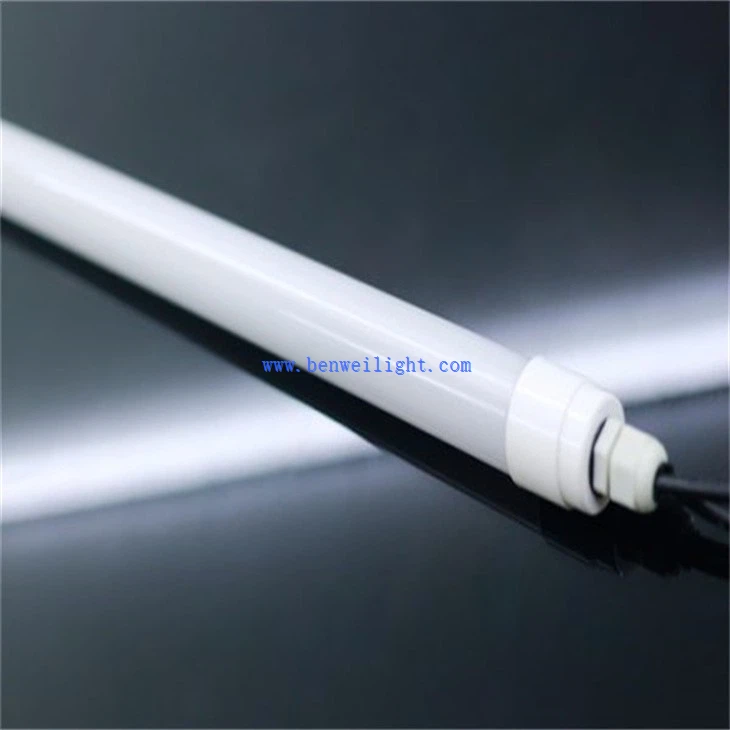 Barn Lights For Chickens  (4)