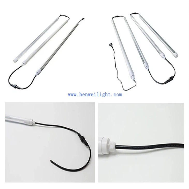 Barn Lights For Chickens  (1)