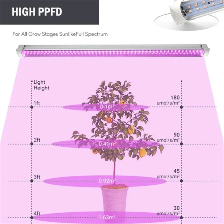 Best Grow Lights For Indoor Plants