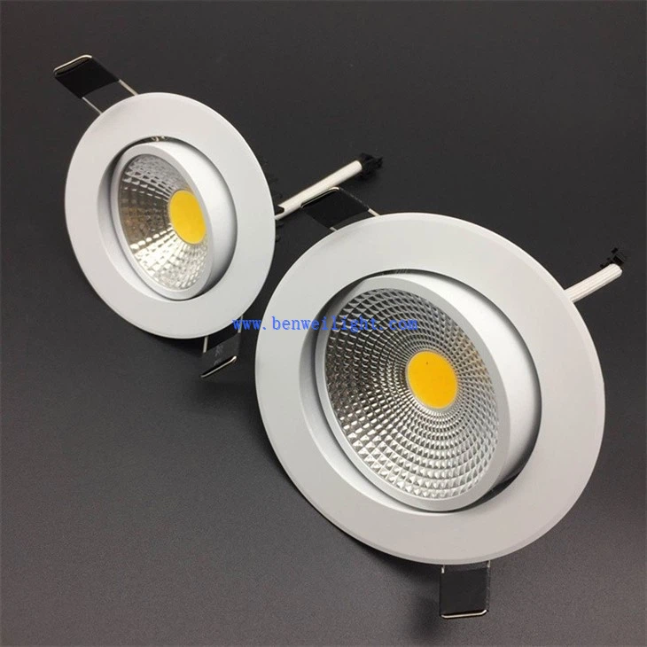 Elegant LED Recessed Downlight (1)