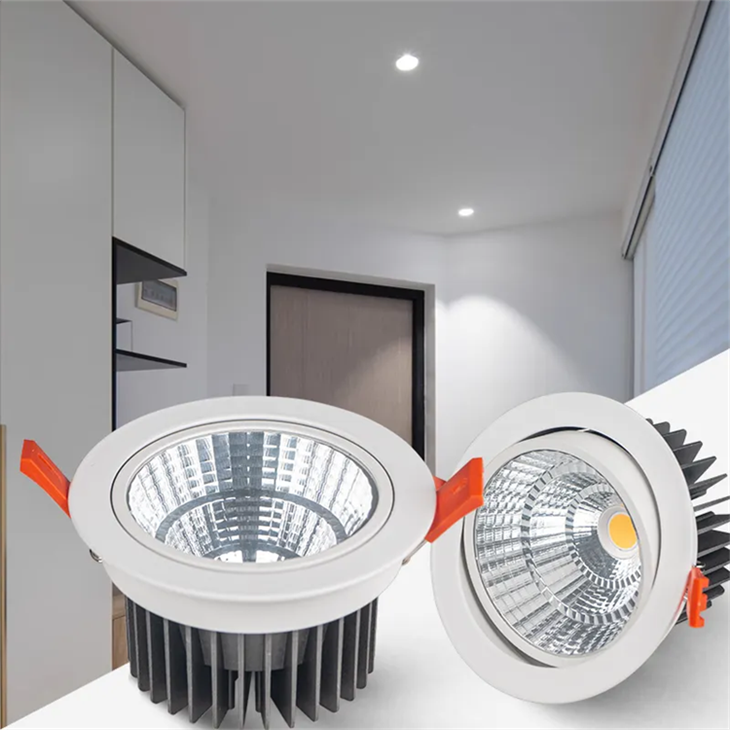 Factory Price 3w 6w 9w 18w 24w 30w 40w Adjustable Led Downlight