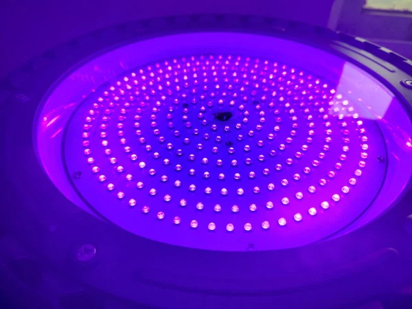 500W LED Lamp 3 500W LED Lamp 3