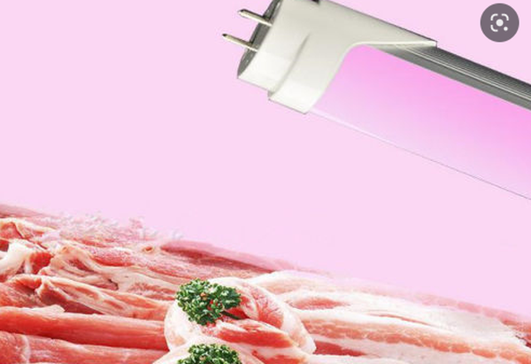 meat T8 LED Tube 2 meat T8 LED Tube 2