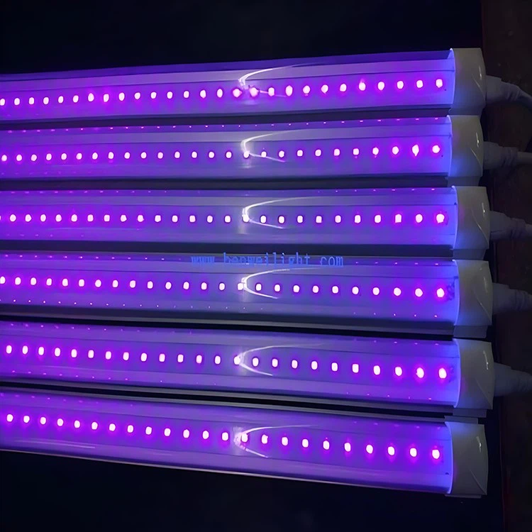 uv led light uv led light