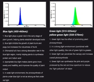 QQ20251015-103309 QQ20251015-103309
