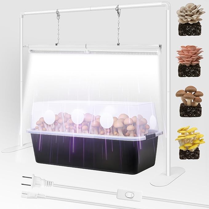 info-679-679 info-679-679