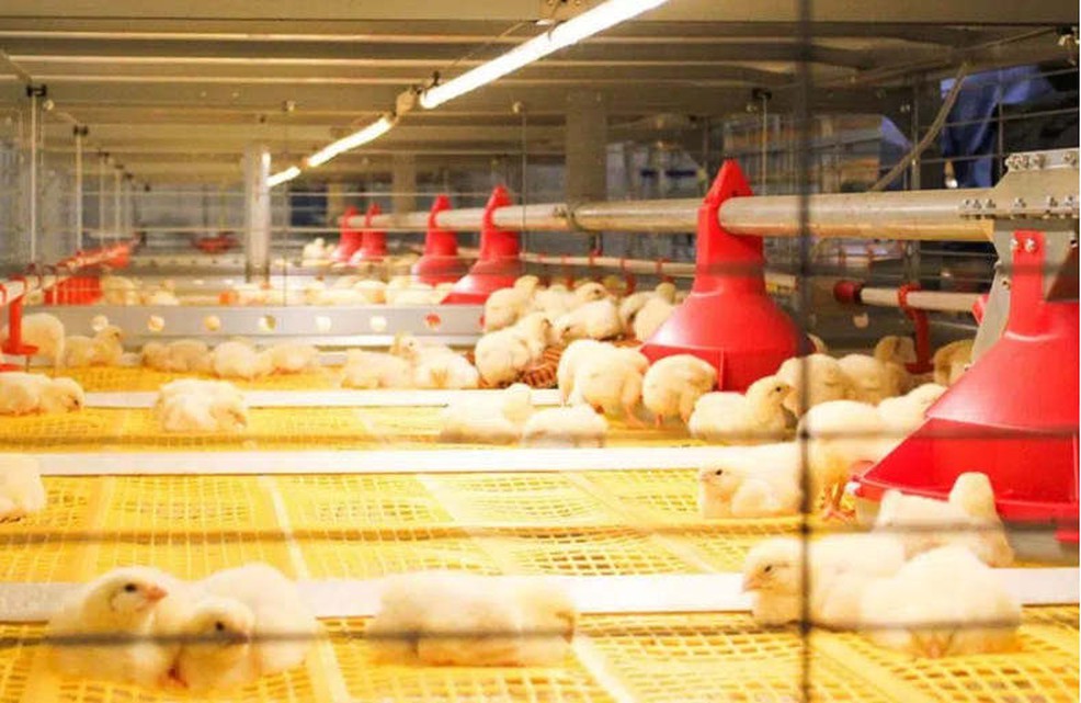 info-986-641 info-986-641