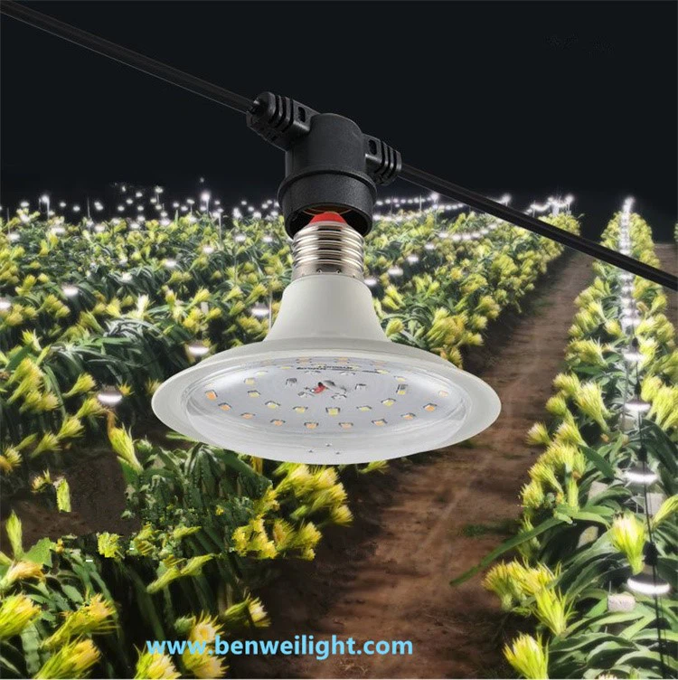 Product Detail Images 6 Product Detail Images 6