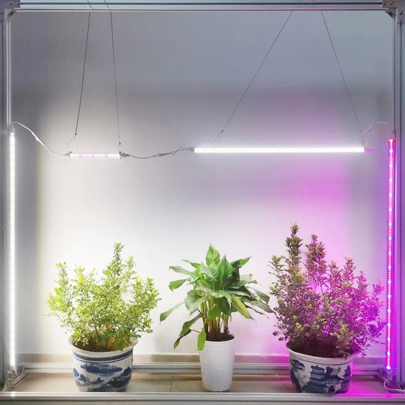 Indoor Plants LED Grow Lighting Indoor Plants LED Grow Lighting