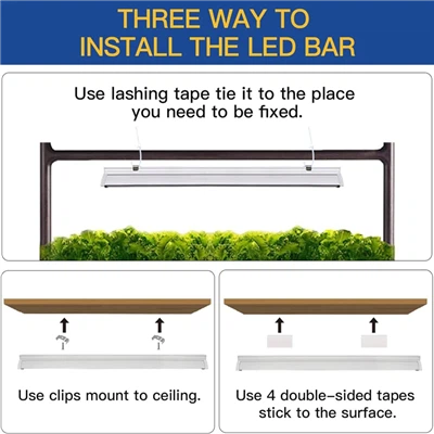 Do Different Wavelengths Of Plant Lights Have The Same Effect On Plants?