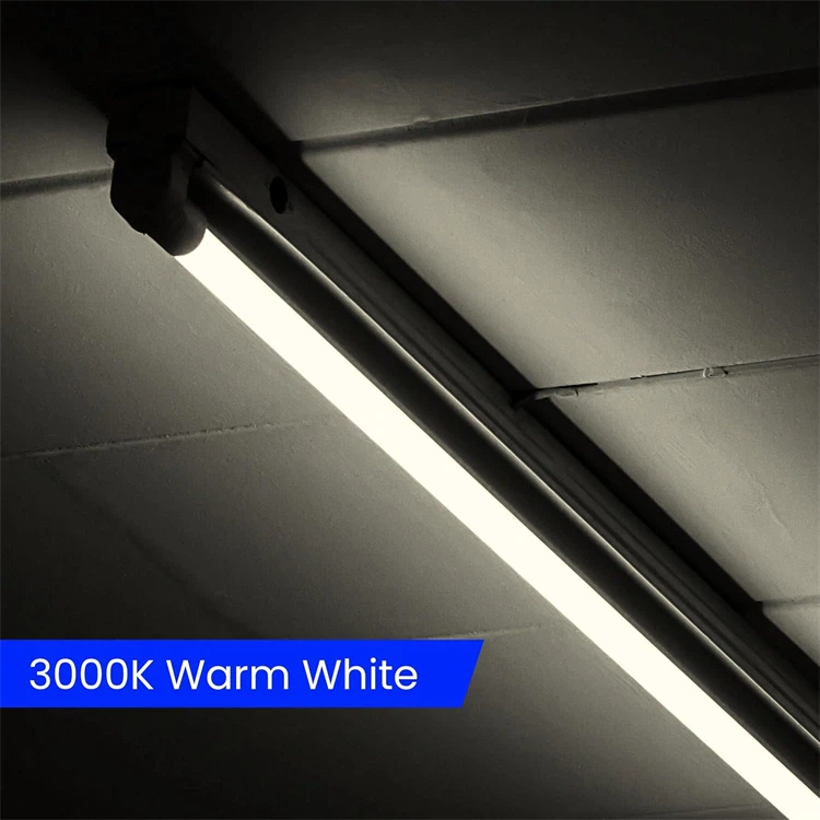 What Are the Differences Between Single/Double-Ended LED Tubes and ...