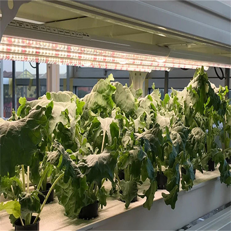 info-750-750 info-750-750