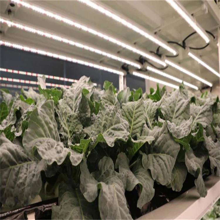 info-750-750 info-750-750