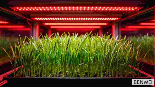 info-2730-1535 info-2730-1535