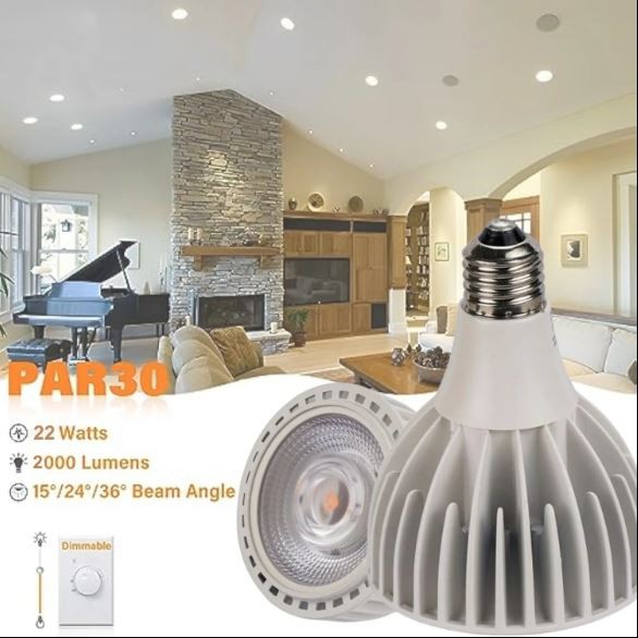 PAR30 Spotlight LED Bulb 30 Watt COB (200 Watt Eqv.) 3000 Lumens Flood Light Bulbs