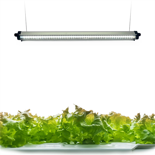 LED Grow Light, 3-head Red-blue-white Full-spectrum Plant Light