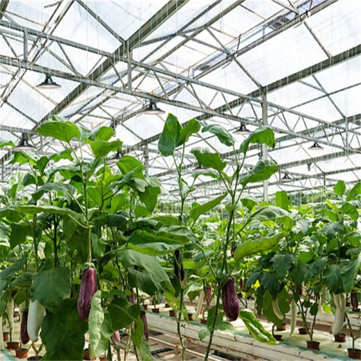 led grow lights for plants