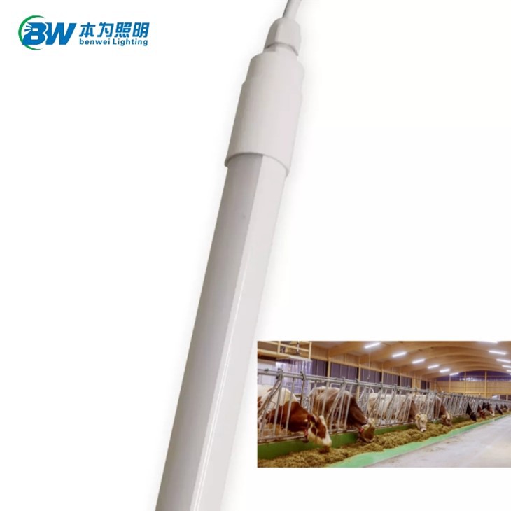 LED Poultry Tube Lights Waterproof Dimmable