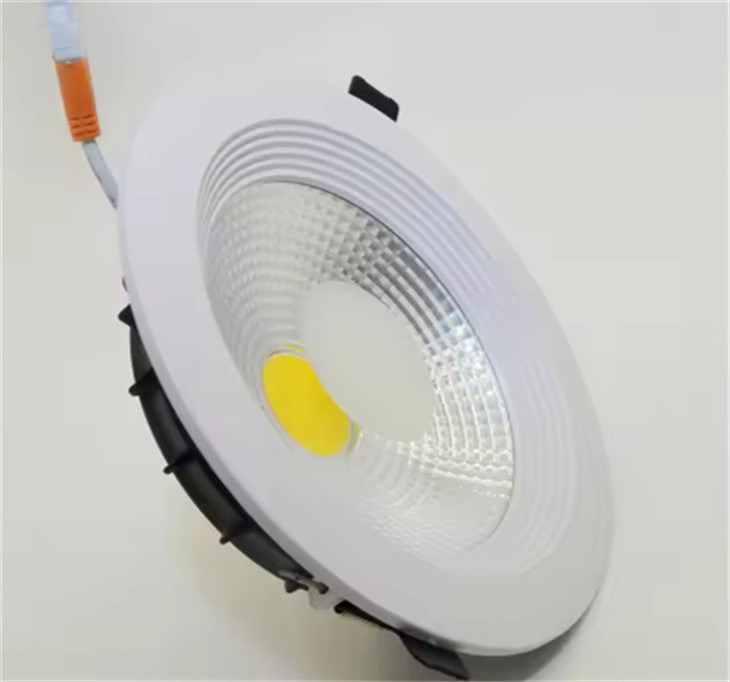 surface mounted downlight