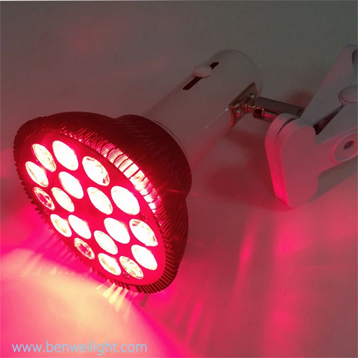 Medical Red Light Therapy Bulb: 630nm, 54W