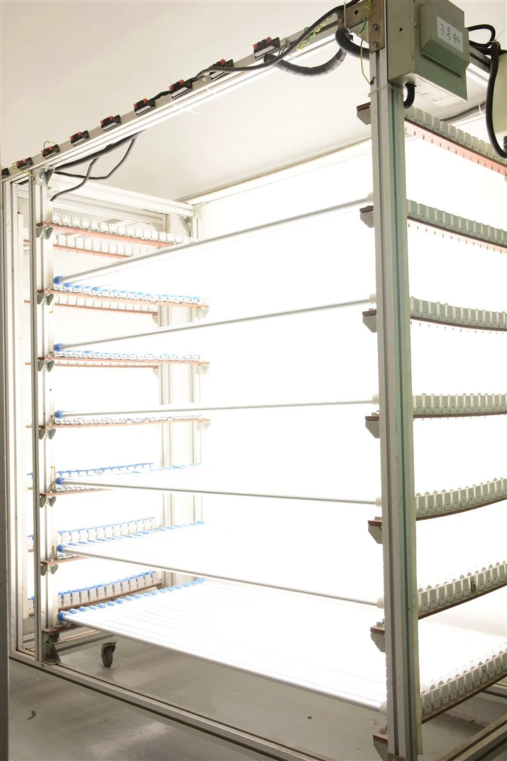 Supply T8 LED tube light replacing Fluorescent Tubes 180lm/w-200lm/w suppliers