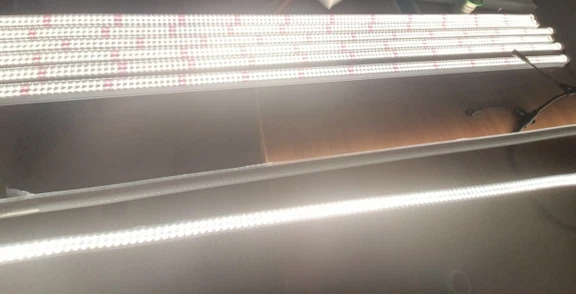 QQ20251125-163010 QQ20251125-163010